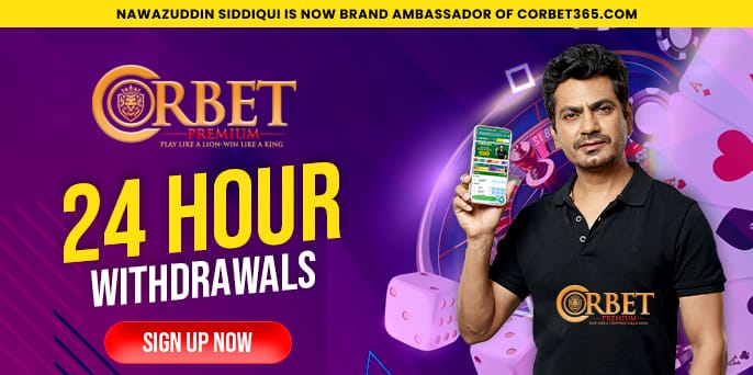 Brand Ambassador
